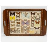 Vintage Butterfly Tray-10000