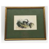 Le Bouquetin Framed Picture-10416