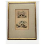 Framed French Animal Engraving Print-10425