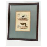 19th Century Cat and Cheetah Engraving-10421
