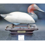 Online Only Auction Bid Now Thru Wednesday October 15th 2025 - Ronald Browning Estate- Part One!