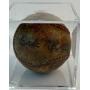 SPORTS MEMORABILIA AND SPORTS CARD ONLINE AUCTION