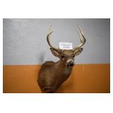 Buck Mount