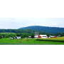 Public Auction - Perry County