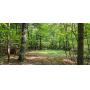 Public Real Estate Auction +/- 5.19 Ac Land Huntingdon County