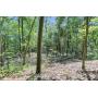 Public Real Estate Auction 39.53 +/- Ac. Juniata Co