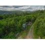 Public Real Estate Auction 75.59+/- Acres Clinton County