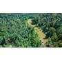 Public Real Estate Auction 183.4 Acres Centre County