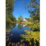 Pubic Real Estate Auction 16.33 Acres Perry County