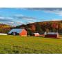 Public Real Estate Auction 43 Acre Farm Northumberland County