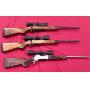 Public Gun Auction - Juniata County