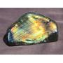 Day 2 Artifact,Fossil,Mineral,Crystal Auction
