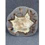 Day 2 Artifact,Fossil,Mineral,Crystal Auction