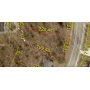  Absolute Builders Lot Auction