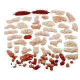 Collection of Carved Coral Pendants and Beads.