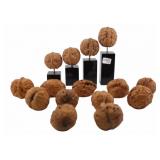 Collection of (15) Chinese Walnuts, Many Carved.
