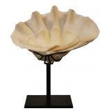 Giant Antique Clam Shell on Stand.
