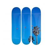 JOHN BALDESARRI & THE SKATEROOM SKATEBOARD DECKS.