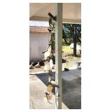 Unique stick & shell wind chime