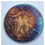 2010 1oz fine Silver Eagle coin