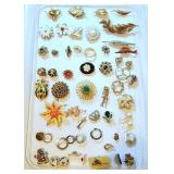 Costume jewelry 4 mainly brooches & pins
