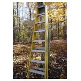 8 ft step Ladder