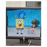 DELL 19" Monitor with cords