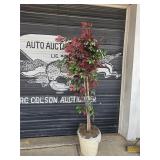 fiscus - decorative office tree