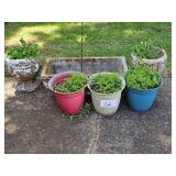 flower pots