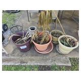 flower pots