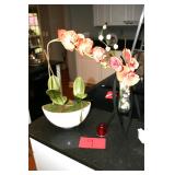 coral artificial Phalaenopsis orchid