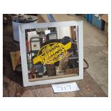 Hank Williams Jr. Mirror