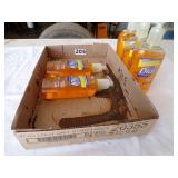 Dial professional liquid hand soap (5),  mirror