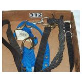 different dog leads & collars