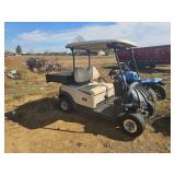 Golf cart electric