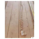 LOG CHAIN 19+FT - WITH HOOKS - (IMP SHED)