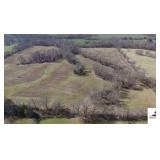 TRACT 4:  27.07 ACRES - 23.70+/- ACRES TILLABLE - GOOD BUILDING SITE OFF ROAD  - GOOD HUNTING AREA - NORTH PORTION OF THE FARM AND CURRENTLY CROPPED IN THREE FIELDS - SEPARATE TIMBER AREAS PLUS TIMBER