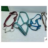 NYLON TRAINING BRIDLE- 1 EAR HEADSTALL- TRIPLEE NYLON HALTER- HAMILTON NYLON HALTER