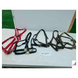 (5) NYLON HORSE HALTERS- (1) WINCHESTER, LARGE- (1) SMALL HORSE 500-800LBS- (3) AVERAGE 800-1100LBS