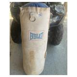 Everlast punching bag
