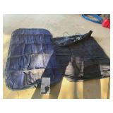 2 blow up air mattresses and pumps