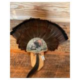 Turkey fan, beard mount