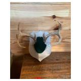 8 pt Horn Mount