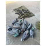Duck decoys and bag