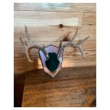 8 pt Horn Mount