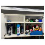 Cabinet of cleaners and supplies