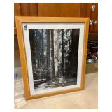 Framed forest picture.