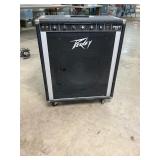 Peavey TNT100 amp - screen has a tear
