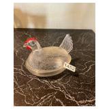 Clear hen on the nest