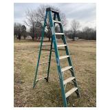 Werner 8 ft ladder